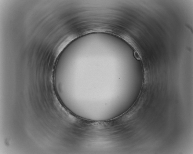 X0000103280906200809121942