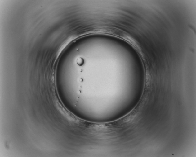 X0000103280907200809121942