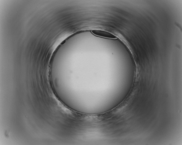 X0000103280909200809121942