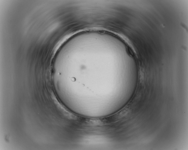 X0000103280911200809121942