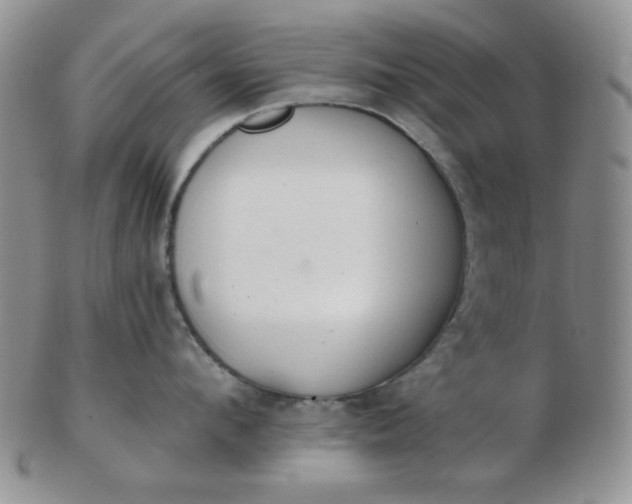 X0000103280912200809121942