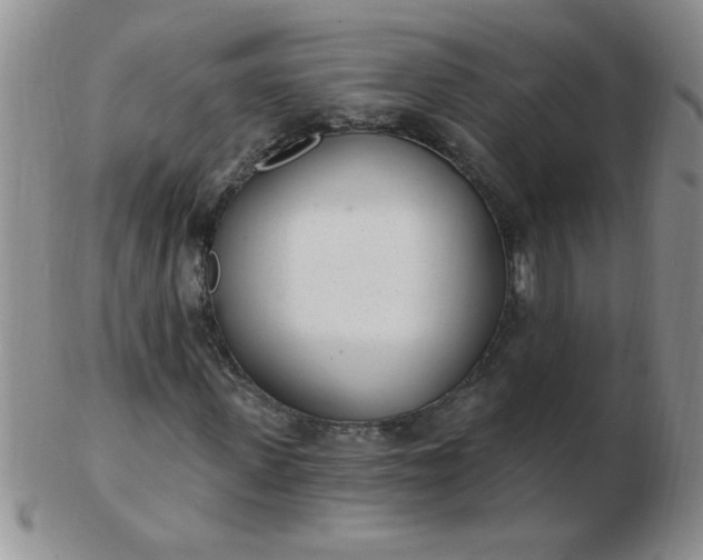 X0000103280915200809121942