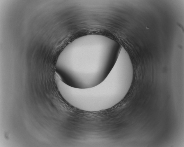 X0000103280916200809121942