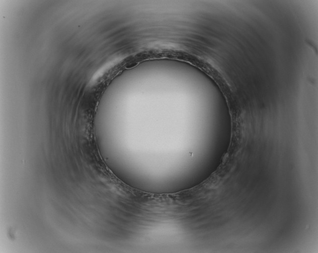 X0000103280919200809121942