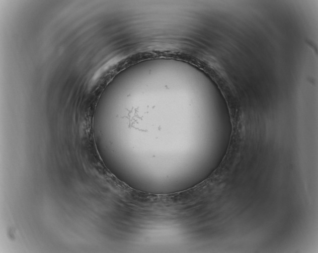 X0000103280920200809121942