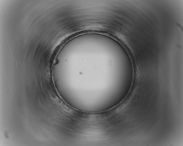 X0000103280923200809121942