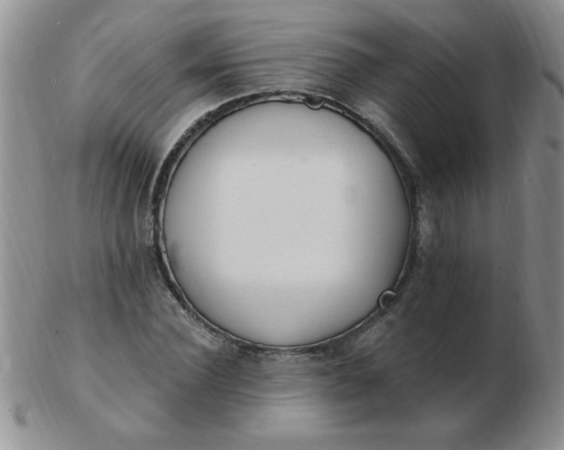 X0000103280924200809121942