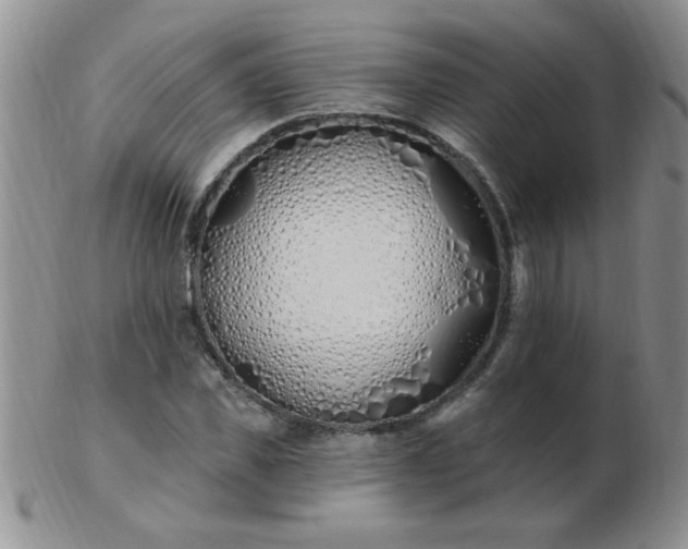 X0000103280925200809121942