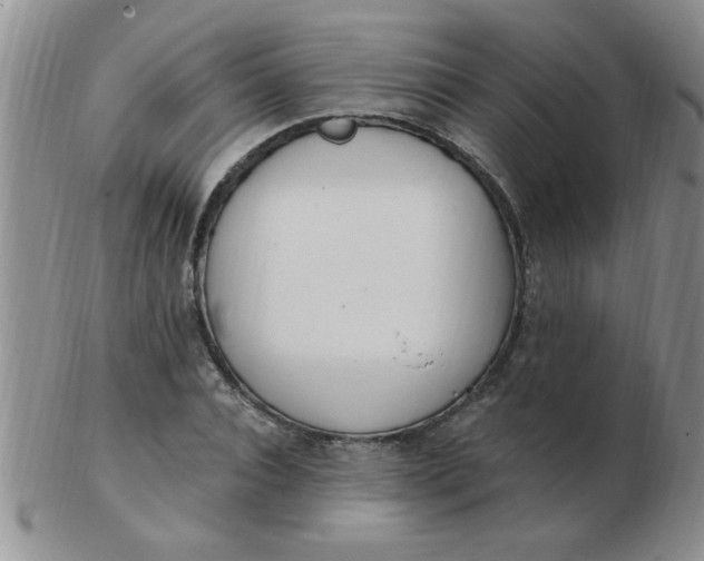 X0000103280928200809121942