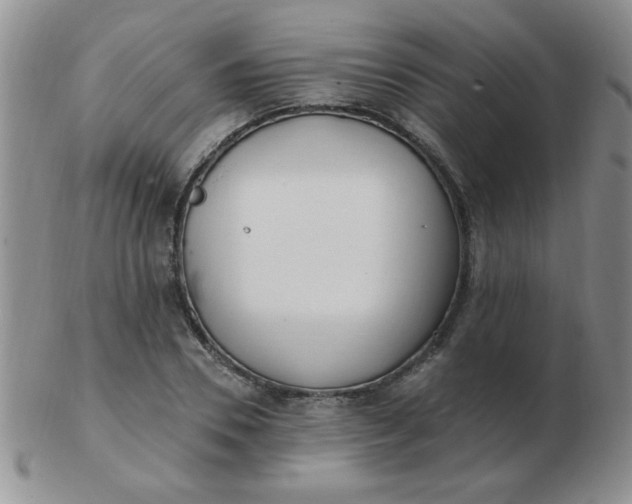 X0000103280930200809121942