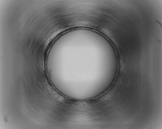 X0000103280931200809121942