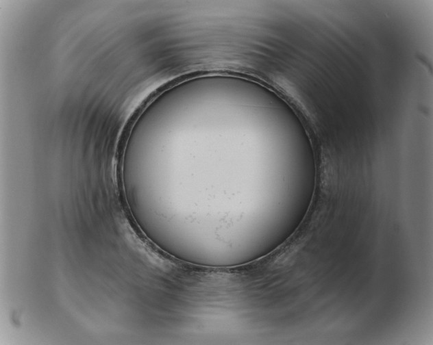 X0000103280932200809121942