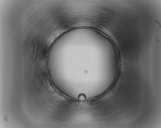 X0000103280937200809121942