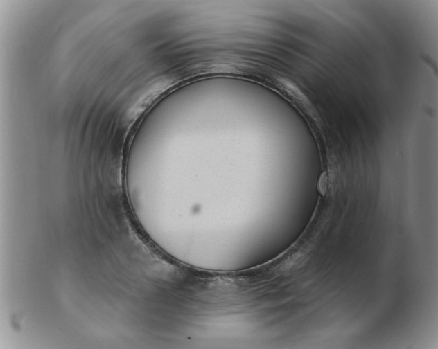 X0000103280938200809121942