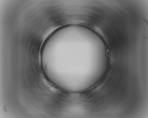 X0000103280940200809121942