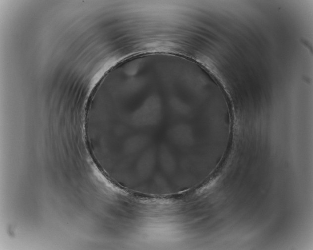 X0000103280941200809121942