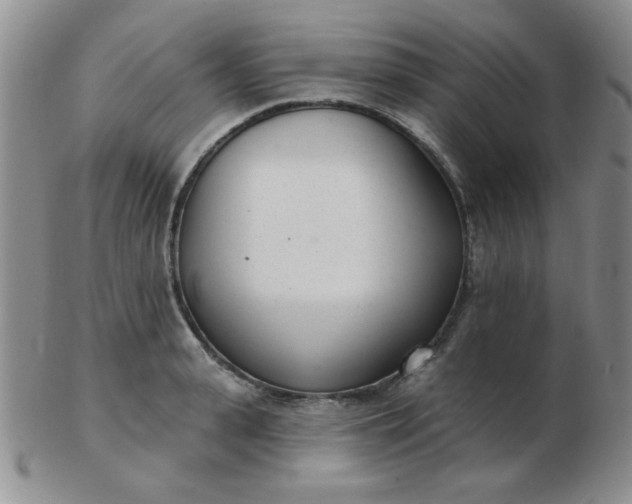 X0000103280943200809121942