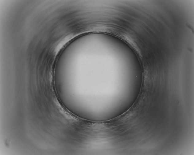 X0000103280944200809121942