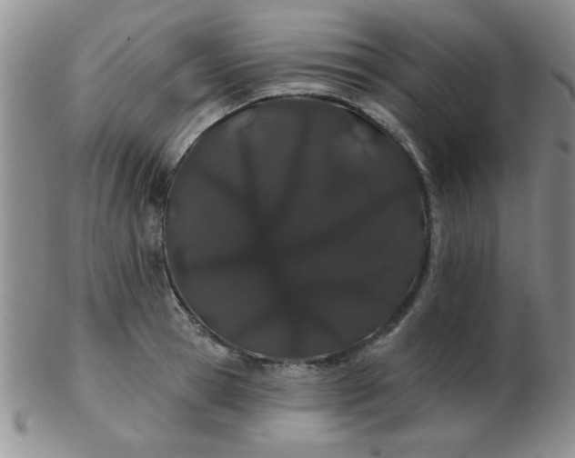 X0000103280945200809121942