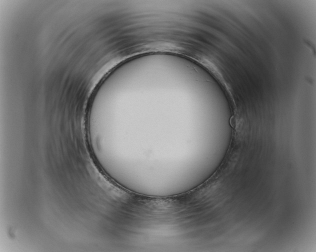 X0000103280947200809121942