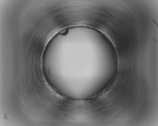 X0000103280949200809121942