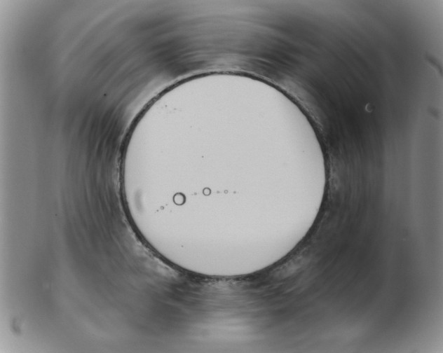 X0000103280950200809121942