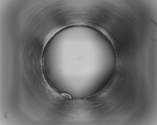 X0000103280951200809121942