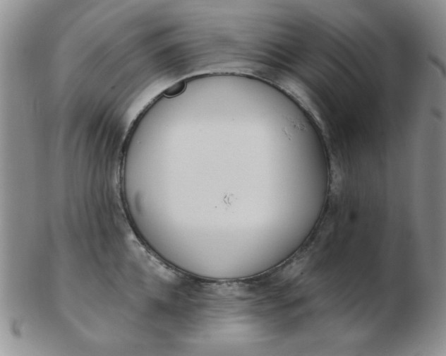 X0000103280952200809121942