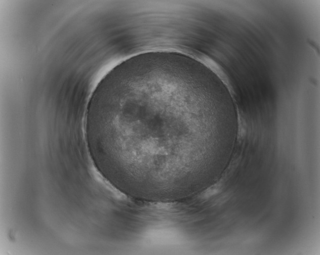 X0000103280958200809121942