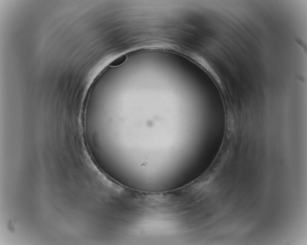 X0000103280959200809121942