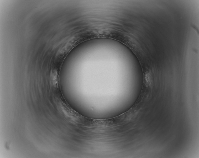 X0000103280963200809121942