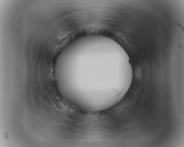 X0000103280964200809121942