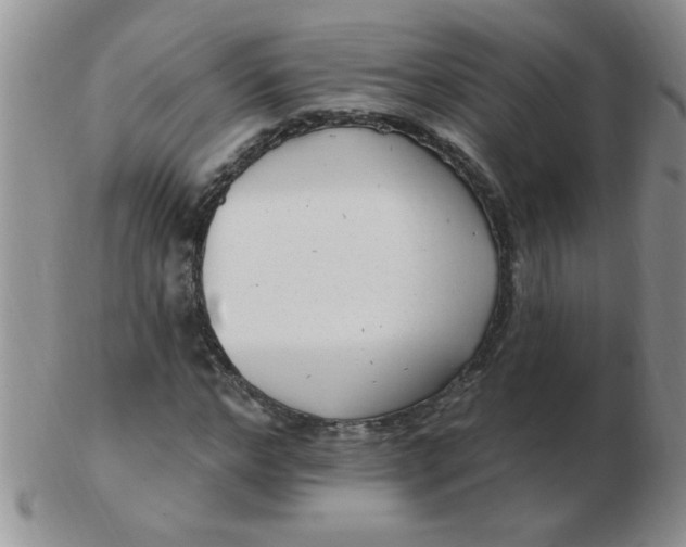 X0000103280968200809121941