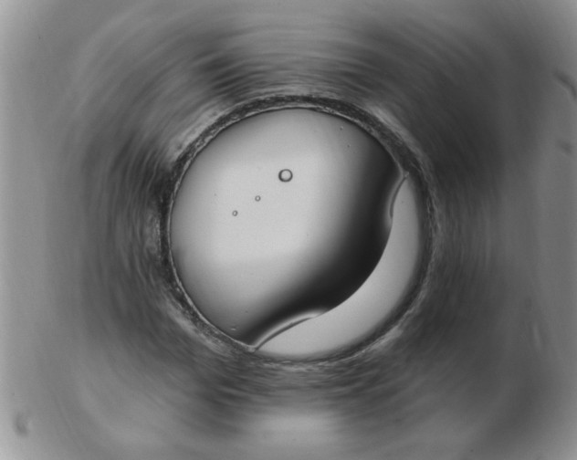 X0000103280969200809121941