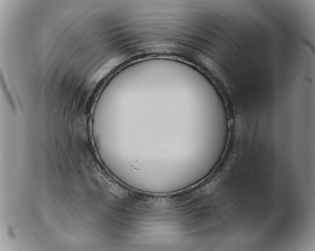 X0000103280970200809121941