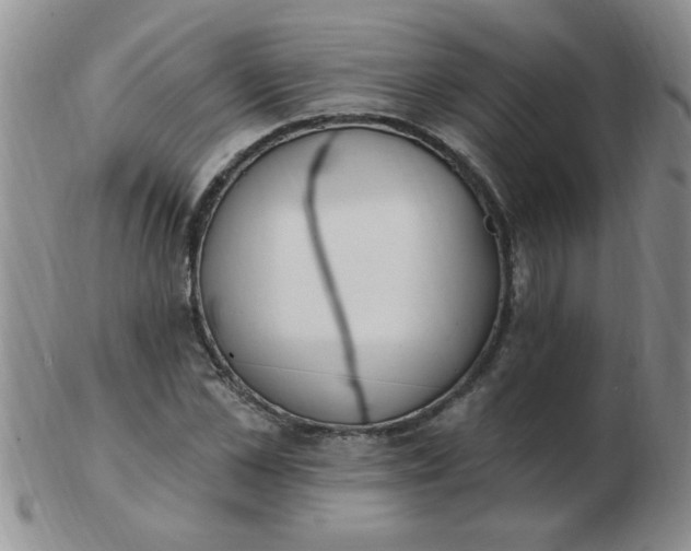 X0000103280973200809121941