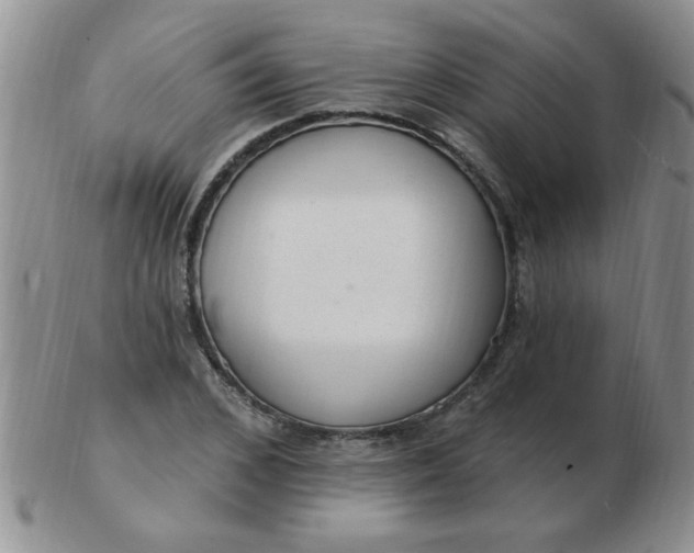 X0000103280976200809121941