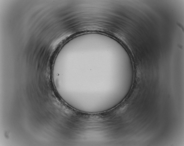 X0000103280979200809121941