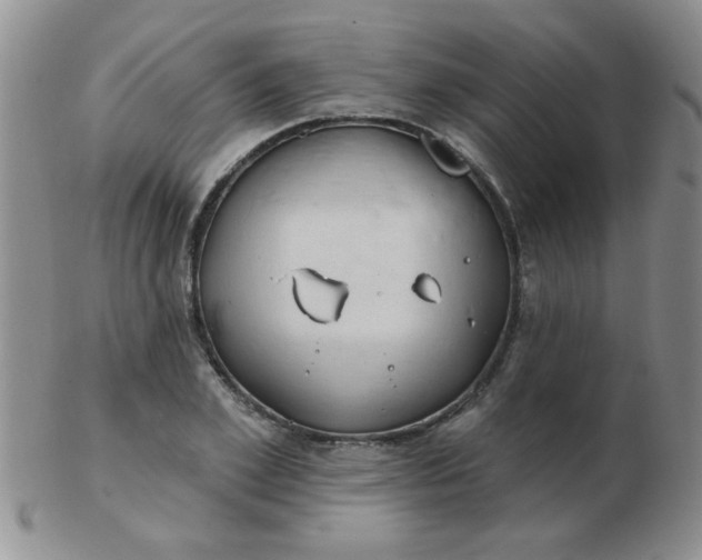 X0000103280981200809121941