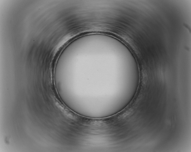 X0000103280982200809121941