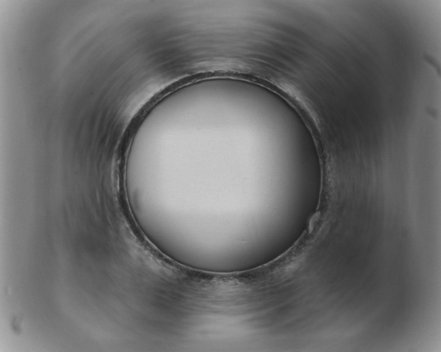 X0000103280983200809121941