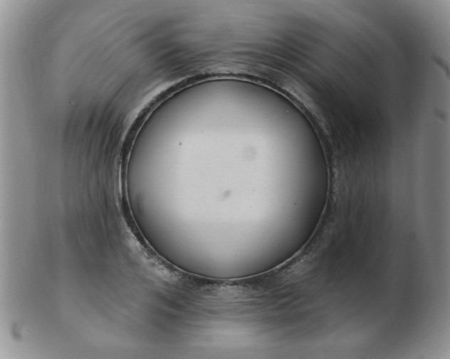 X0000103280984200809121941