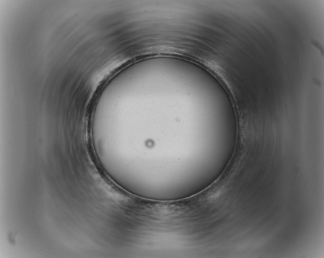 X0000103280987200809121941