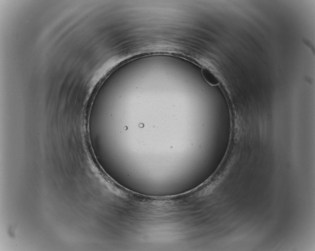 X0000103280989200809121941