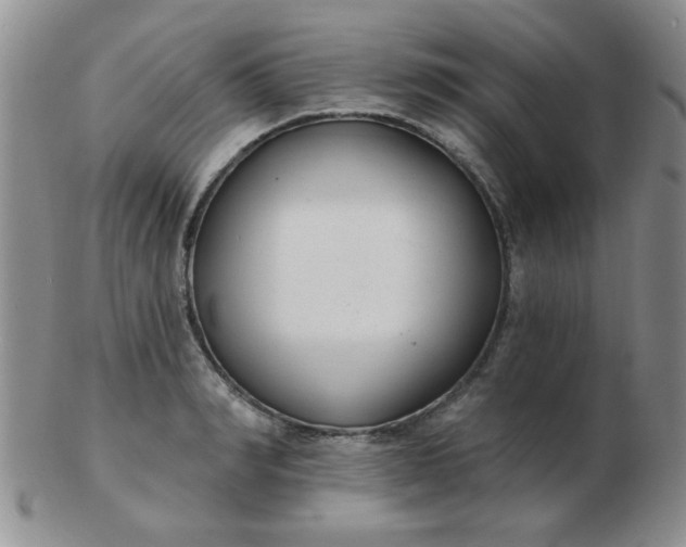 X0000103280990200809121941