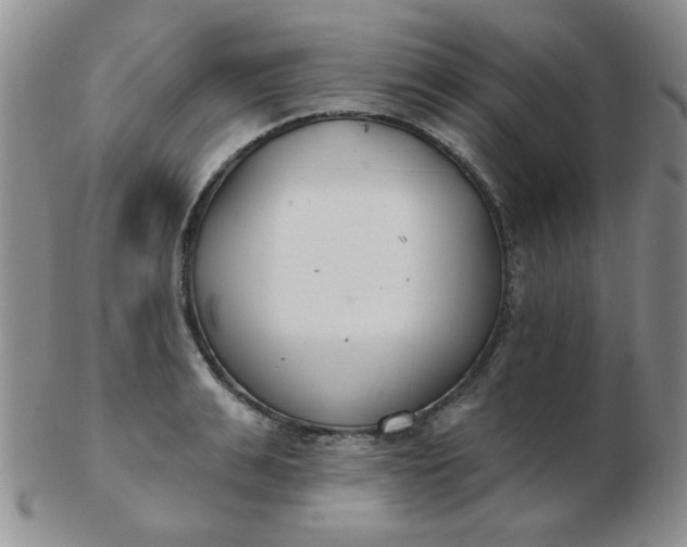 X0000103280991200809121941