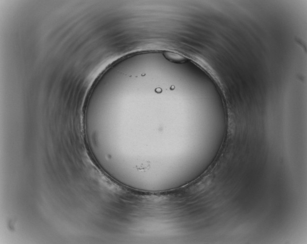 X0000103280996200809121941