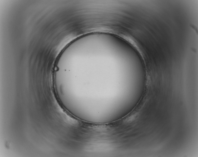 X0000103280999200809121941