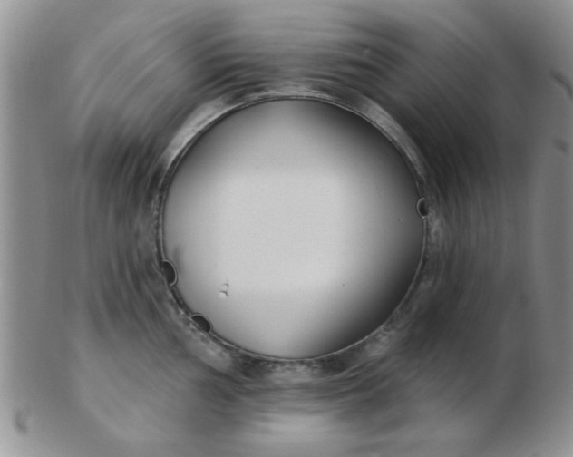 X0000103281002200809121941