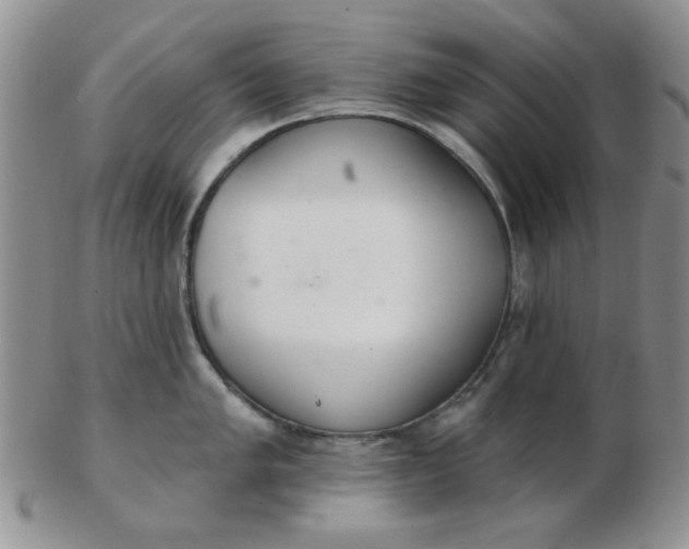 X0000103281005200809121941